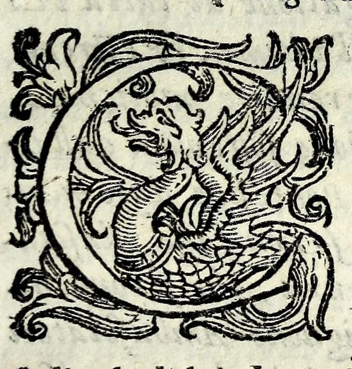 An illustration from Historia della Città e Republica di Venetia, 1637, leaf 233