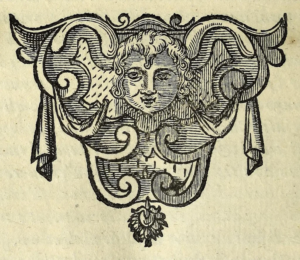 An illustration from Historia della Città e Republica di Venetia, 1637, leaf 246