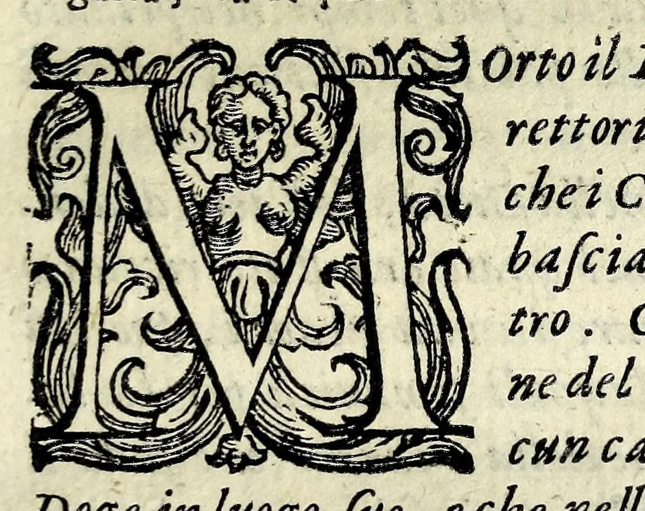 An illustration from Historia della Città e Republica di Venetia, 1637, leaf 285