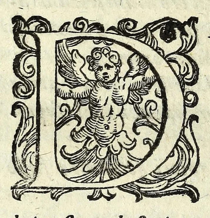 An illustration from Historia della Città e Republica di Venetia, 1637, leaf 358