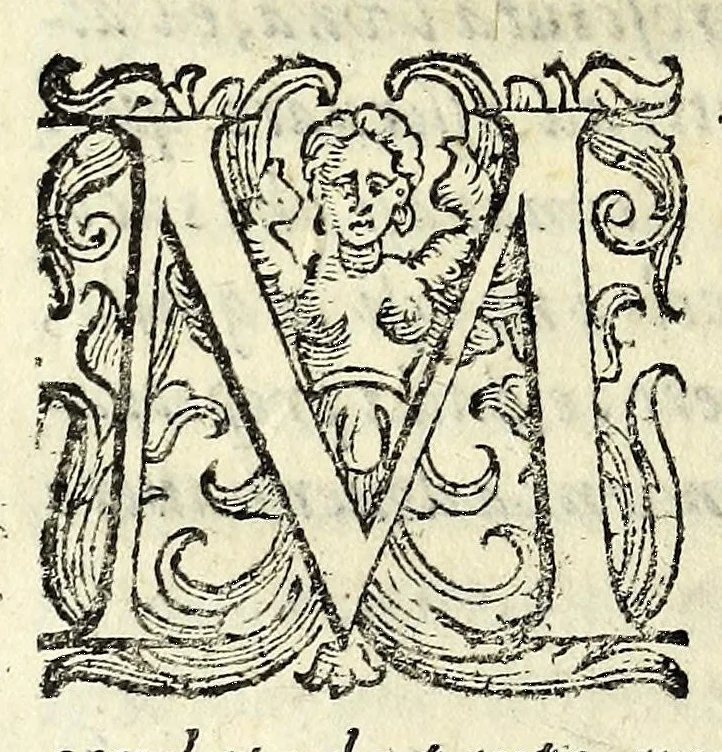 An illustration from Historia della Città e Republica di Venetia, 1637, leaf 532