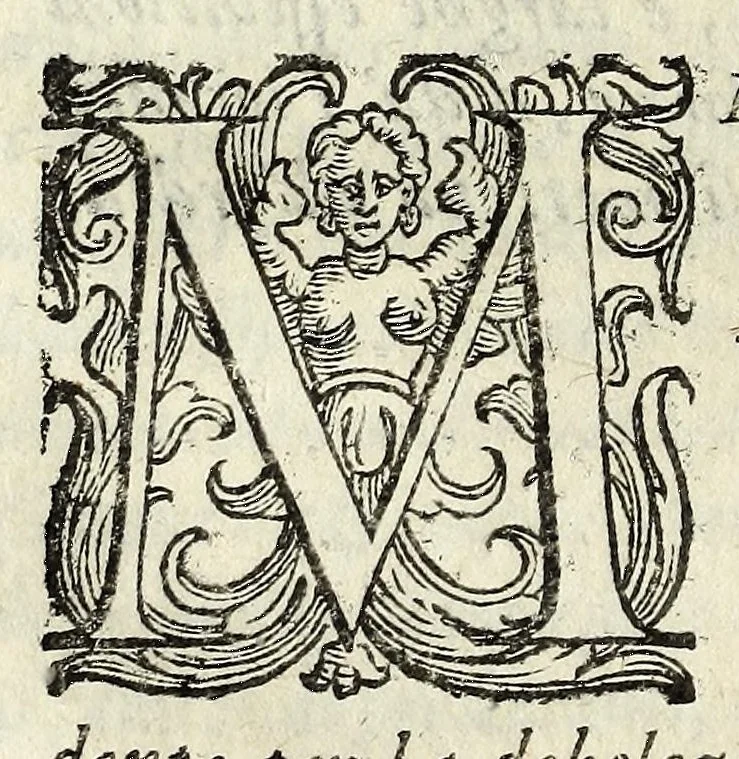 An illustration from Historia della Città e Republica di Venetia, 1637, leaf 556