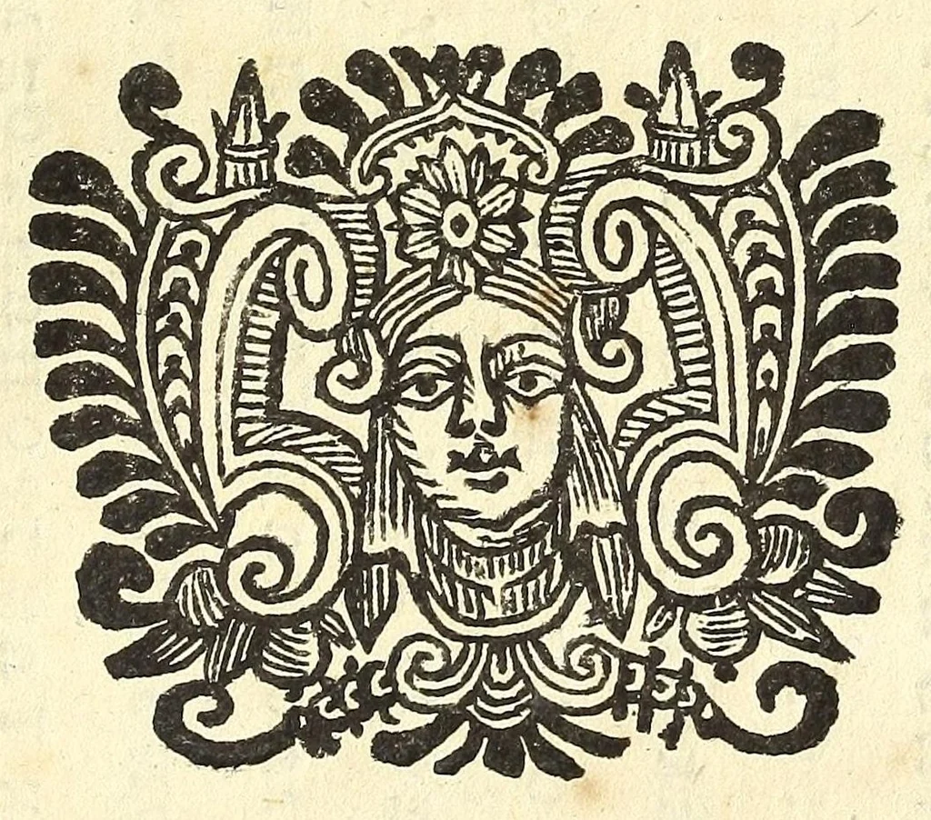 An illustration from Historia della città e regno di Napoli, 1675, leaf 149