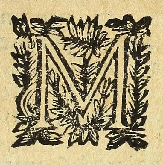 An illustration from Historia della città e regno di Napoli, 1675, leaf 101