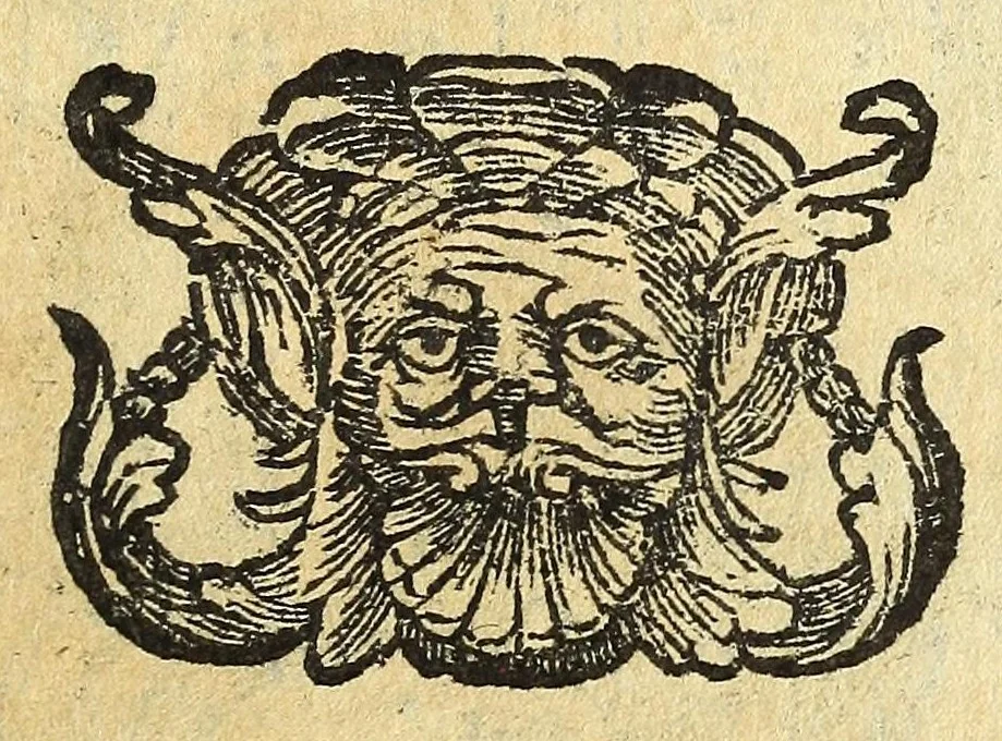 An illustration from Historia della città e regno di Napoli, 1675, leaf 105
