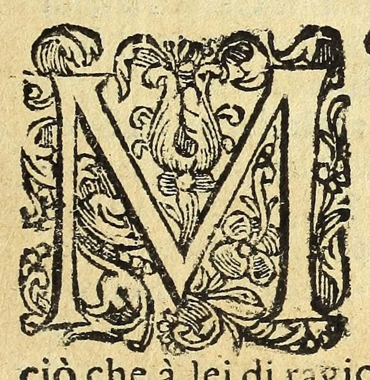 An illustration from Historia della città e regno di Napoli, 1675, leaf 107