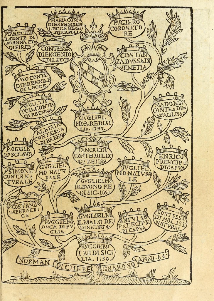 An illustration from Historia della città e regno di Napoli, 1675, leaf 113