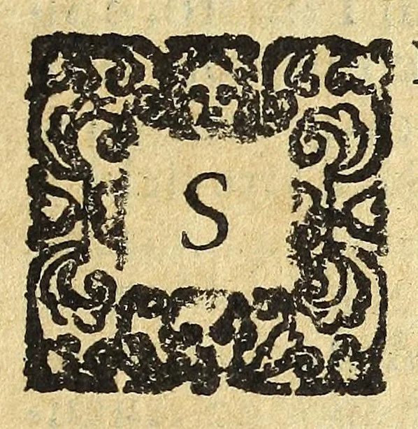 An illustration from Historia della città e regno di Napoli, 1675, leaf 137