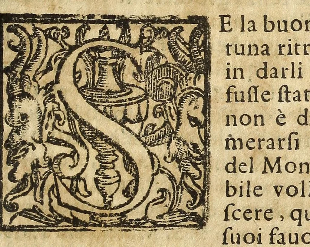An illustration from Historia della città e regno di Napoli, 1675, leaf 233