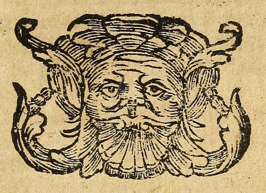 An illustration from Historia della città e regno di Napoli, 1675, leaf 503
