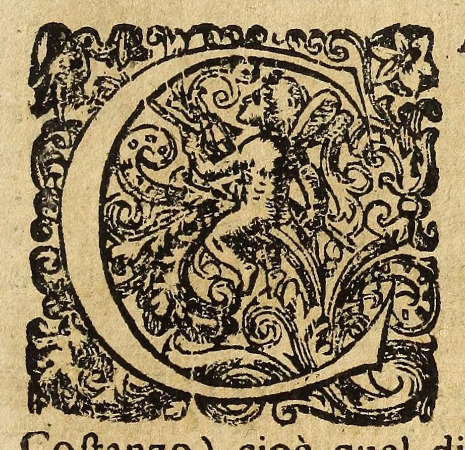 An illustration from Historia della città e regno di Napoli, 1675, leaf 505