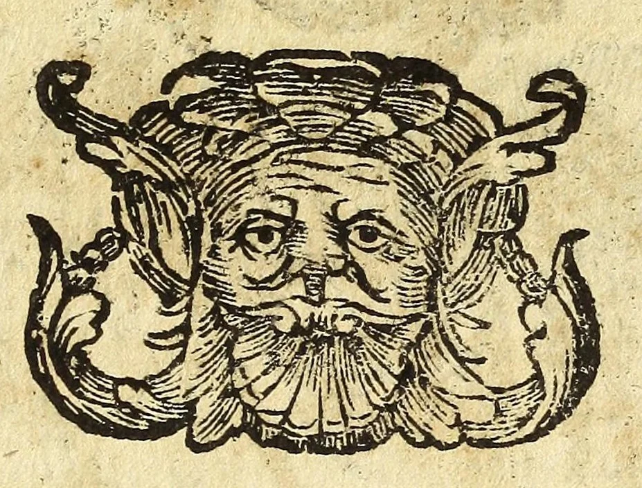 An illustration from Historia della città e regno di Napoli, 1675, leaf 529