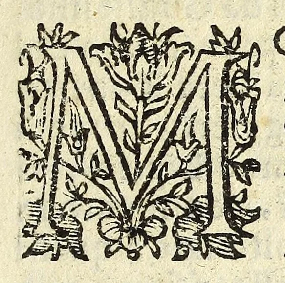 An illustration from Historia della città e regno di Napoli, 1675, leaf 75