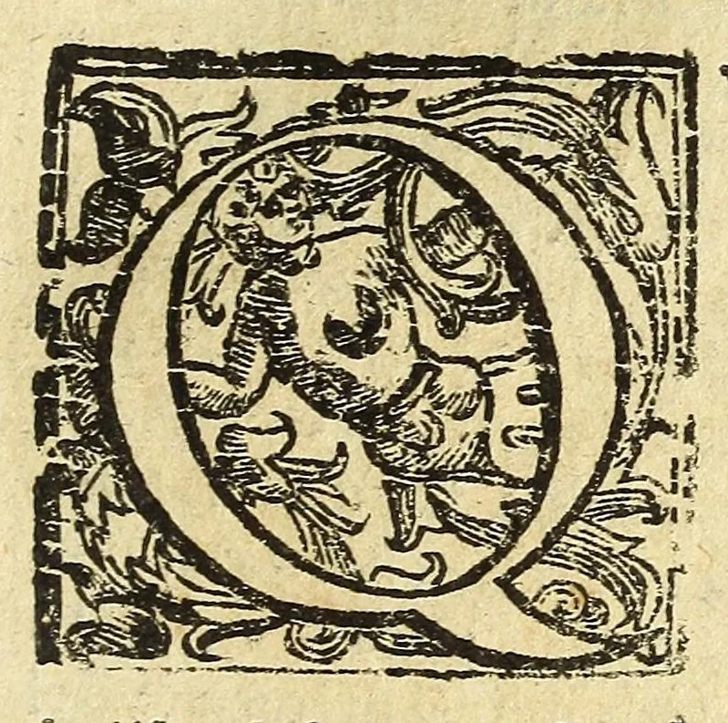 An illustration from Historia della città e regno di Napoli, 1675, leaf 265
