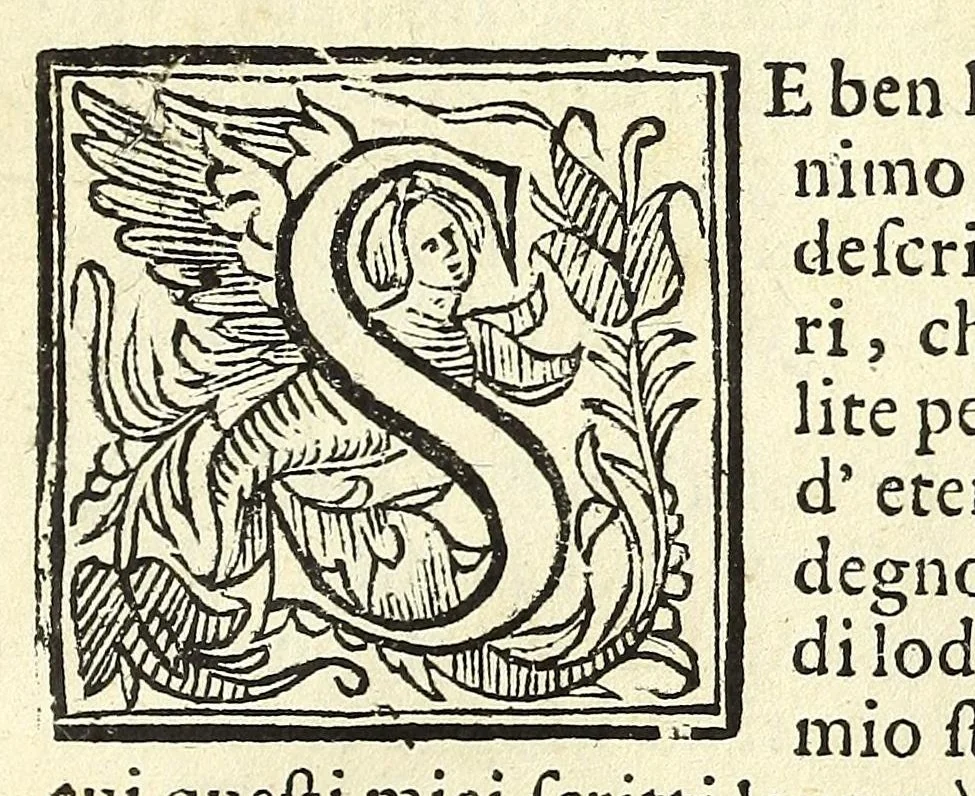 An illustration from Historia della città e regno di Napoli, 1675, leaf 33