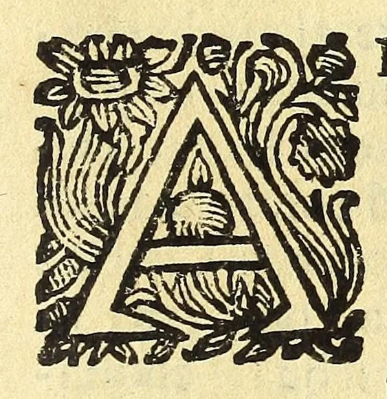 An illustration from Historia della città e regno di Napoli, 1675, leaf 581