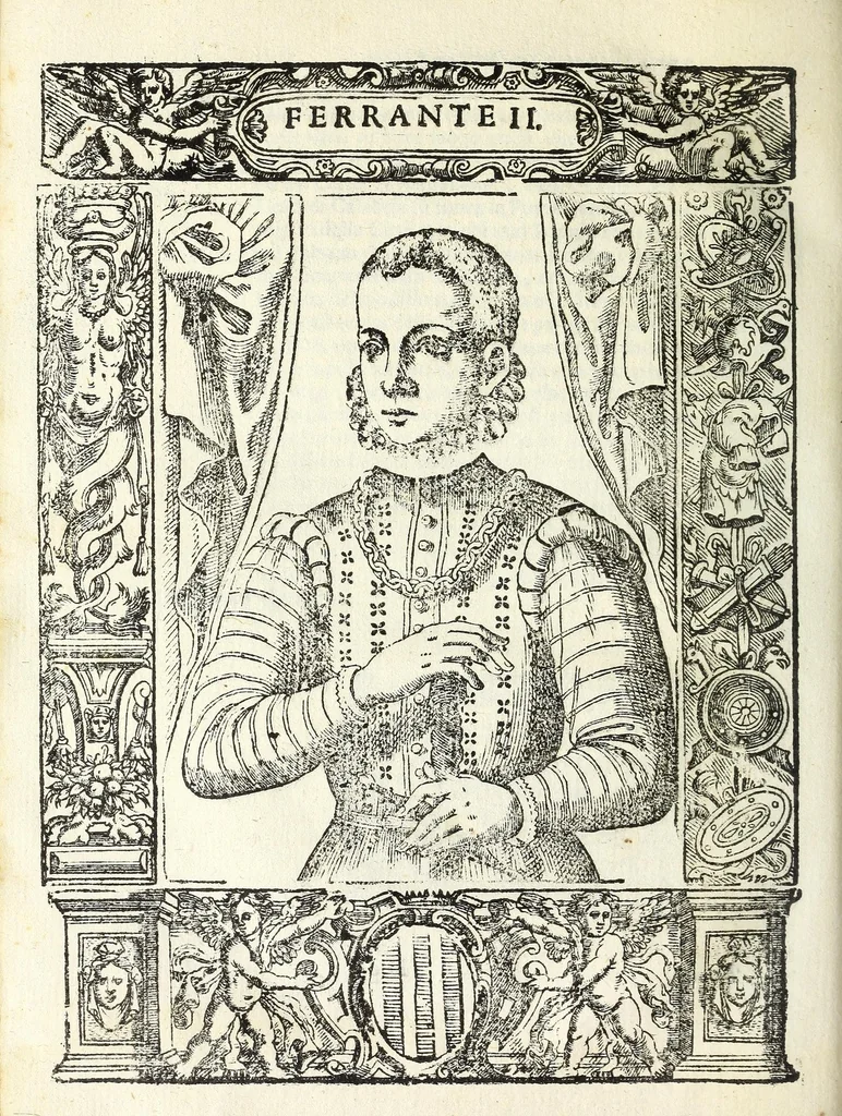An illustration from Historia della città e regno di Napoli, 1675, leaf 606