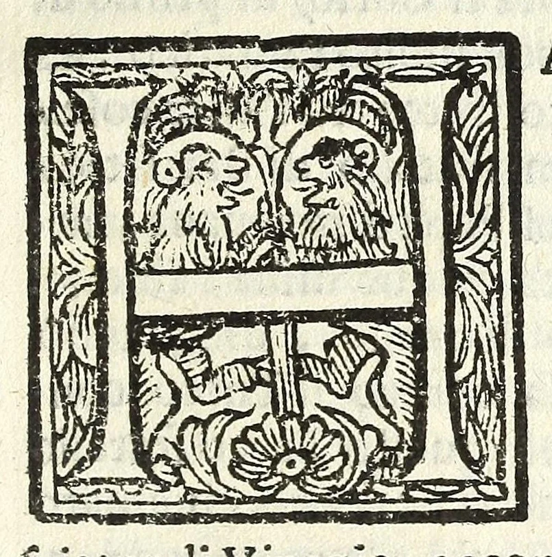 An illustration from Historia della città e regno di Napoli, 1675, leaf 607