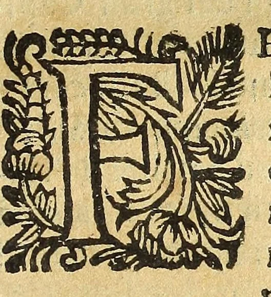 An illustration from Historia della città e regno di Napoli, 1675, leaf 625
