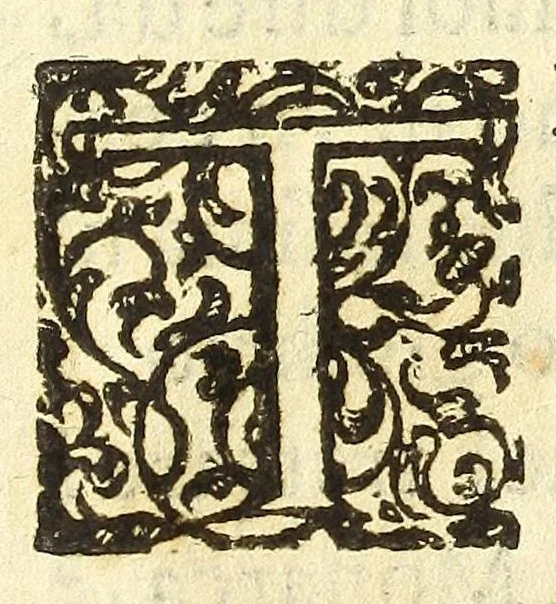 An illustration from Historia della città e regno di Napoli, 1675, leaf 7