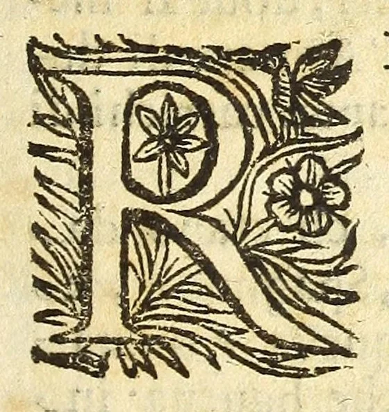 An illustration from Historia della città e regno di Napoli, 1675, leaf 173