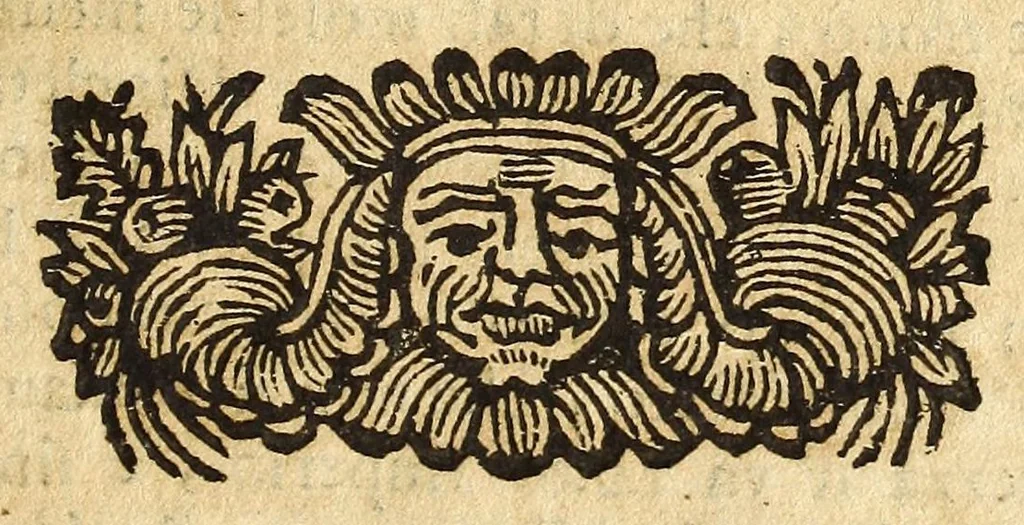 An illustration from Historia della città e regno di Napoli, 1675, leaf 333