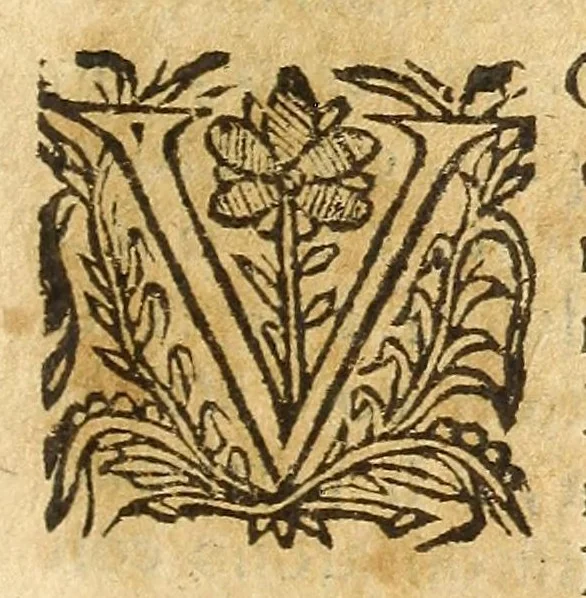 An illustration from Historia della città e regno di Napoli, 1675, leaf 451