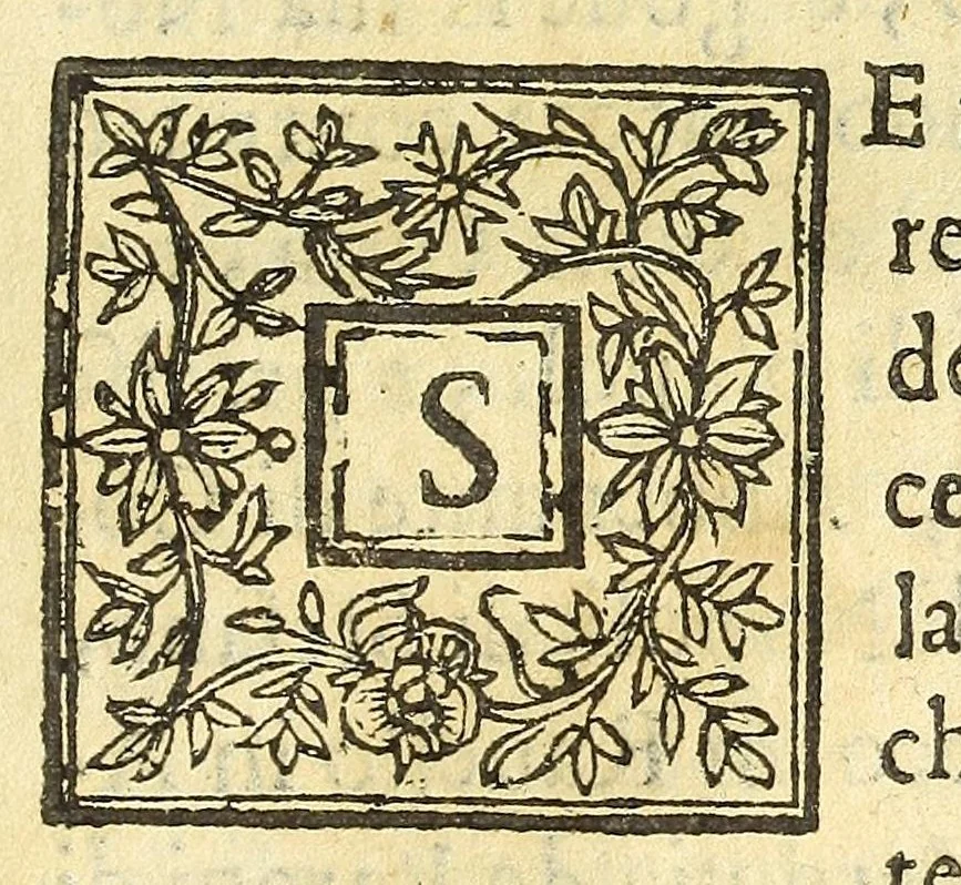 An illustration from Historia della città e regno di Napoli, 1675, leaf 525