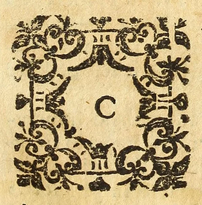 An illustration from Historia della città e regno di Napoli, 1675, leaf 65