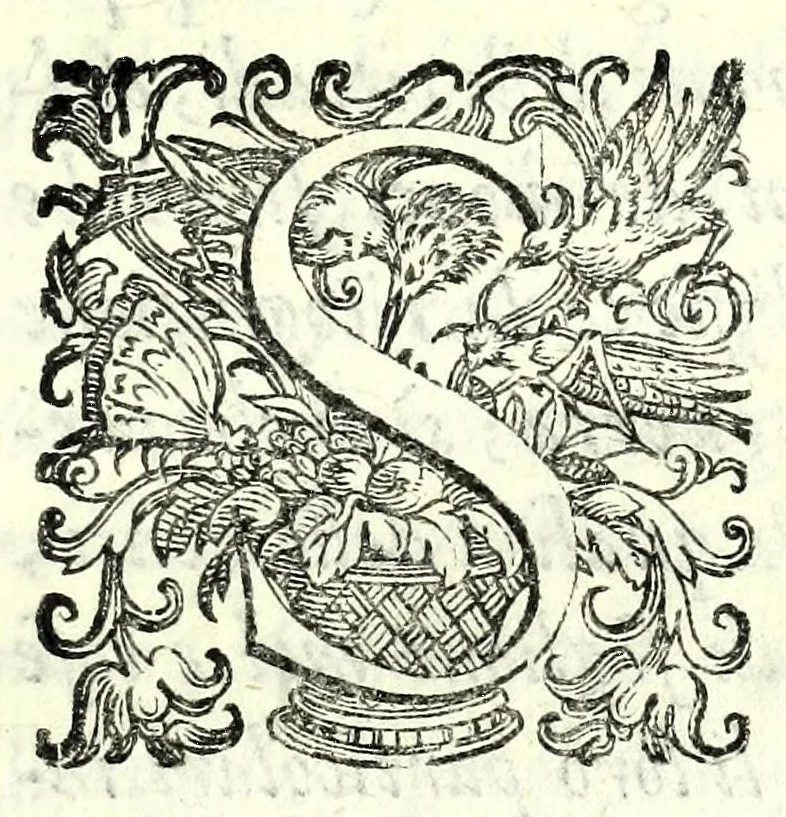 An illustration from Historia della guerra fra Turchi, et Persiani, 1594, leaf 11