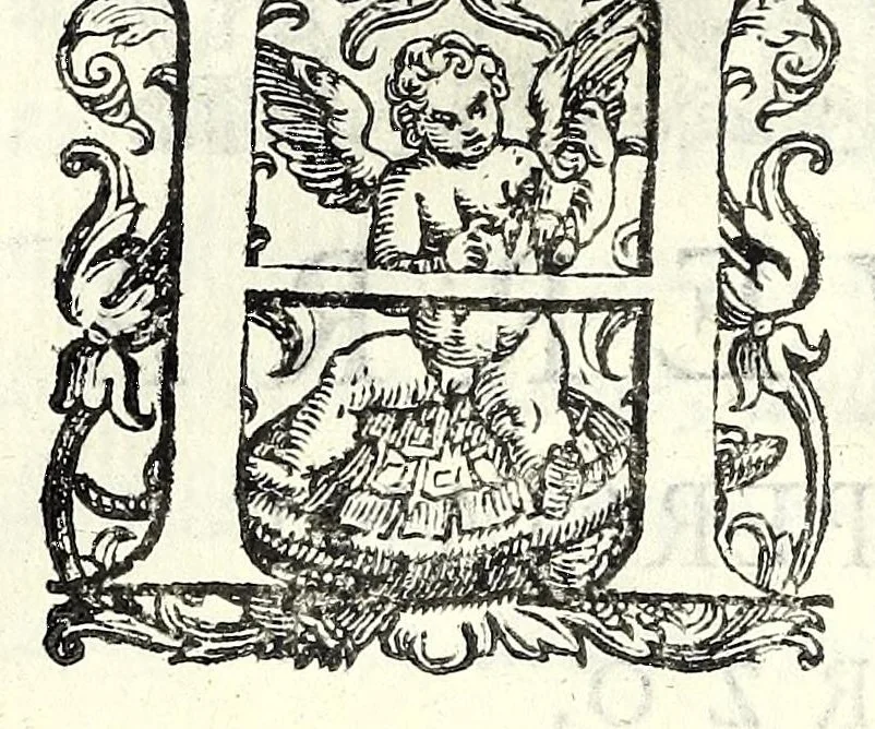 An illustration from Historia della guerra fra Turchi, et Persiani, 1594, leaf 118