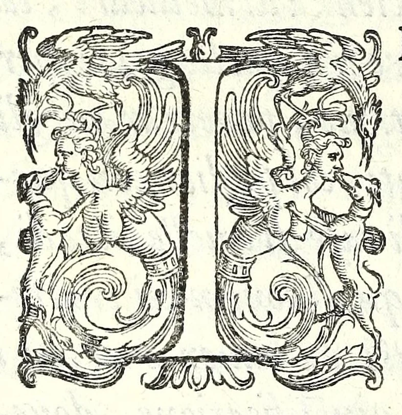 An illustration from Historia della guerra fra Turchi, et Persiani, 1594, leaf 14