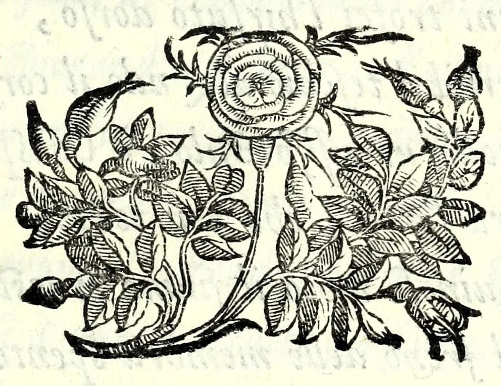 An illustration from Historia della guerra fra Turchi, et Persiani, 1594, leaf 15