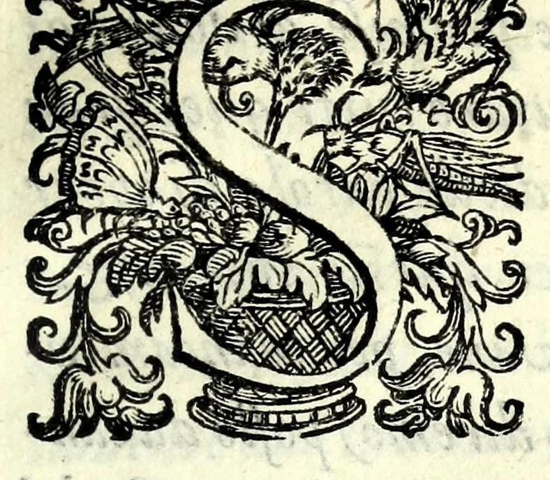 An illustration from Historia della guerra fra Turchi, et Persiani, 1594, leaf 159