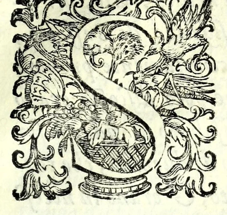 An illustration from Historia della guerra fra Turchi, et Persiani, 1594, leaf 207