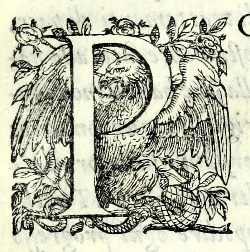 An illustration from Historia della guerra fra Turchi, et Persiani, 1594, leaf 241