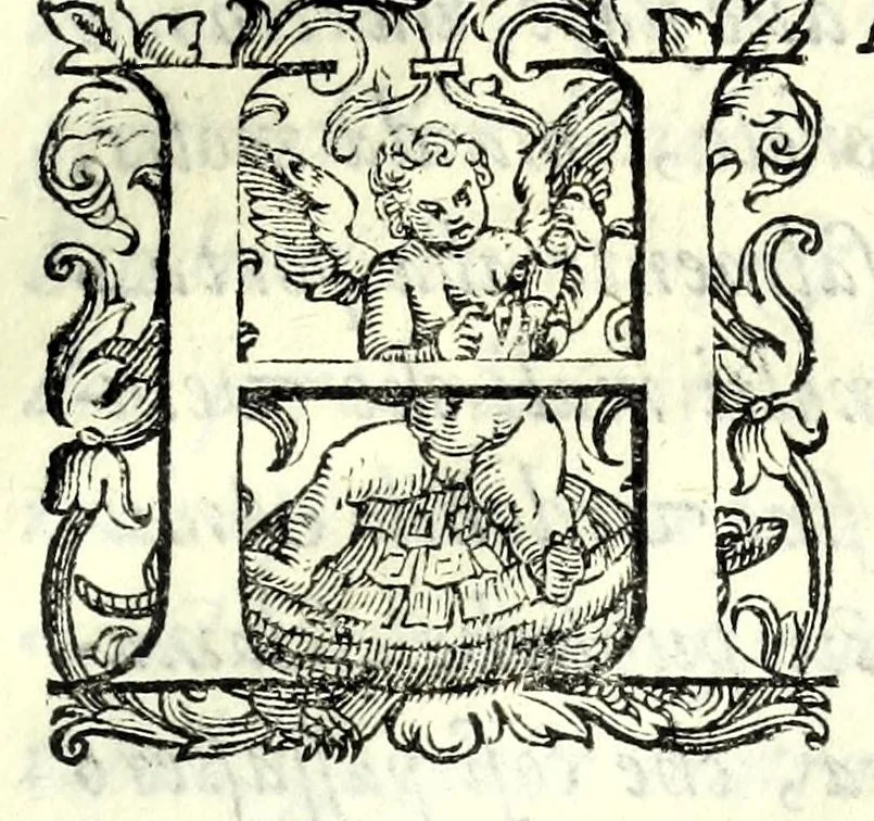 An illustration from Historia della guerra fra Turchi, et Persiani, 1594, leaf 303
