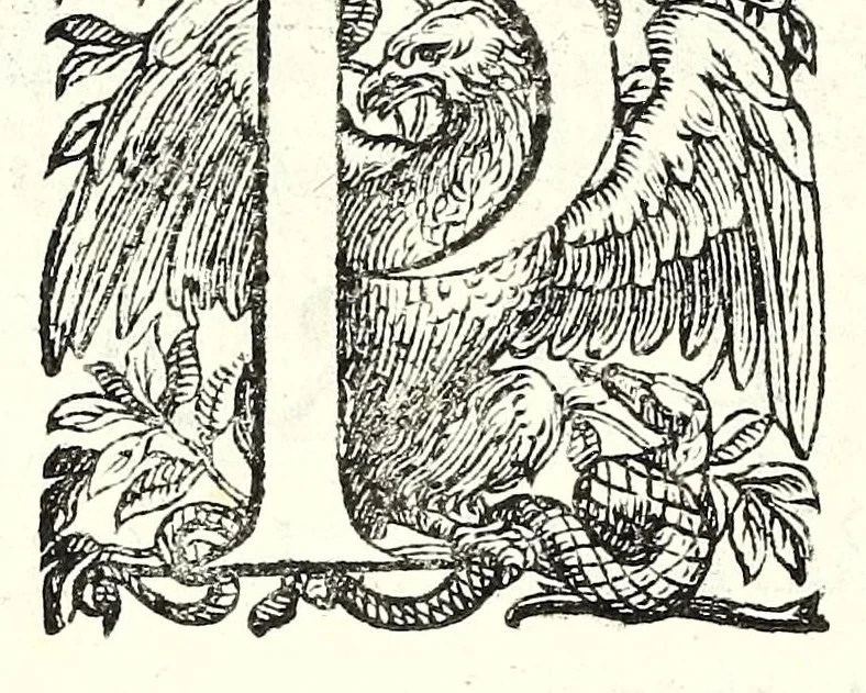 An illustration from Historia della guerra fra Turchi, et Persiani, 1594, leaf 338