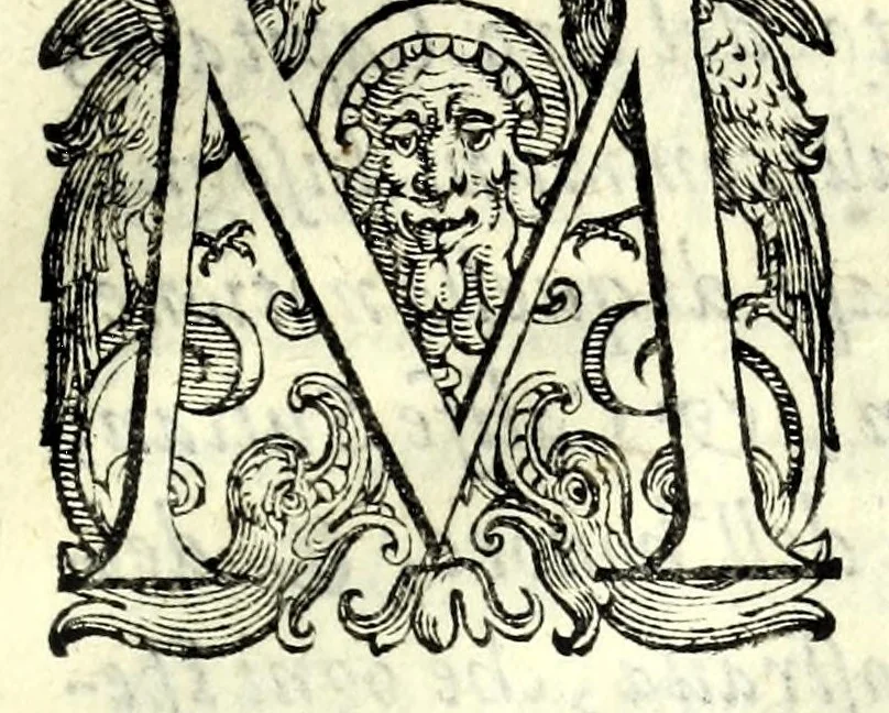 An illustration from Historia della guerra fra Turchi, et Persiani, 1594, leaf 373