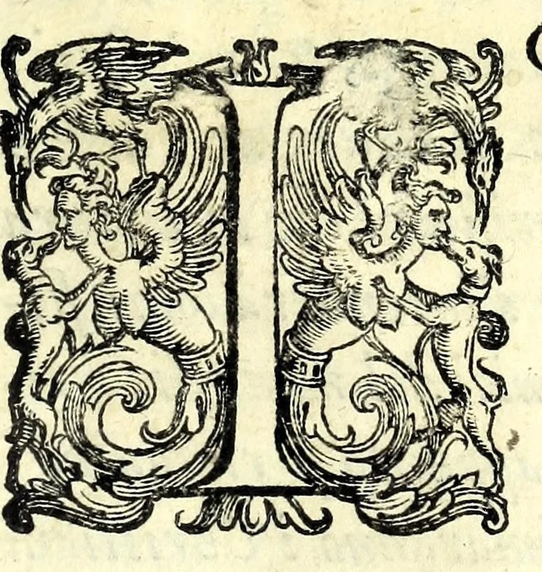 An illustration from Historia della guerra fra Turchi, et Persiani, 1594, leaf 39