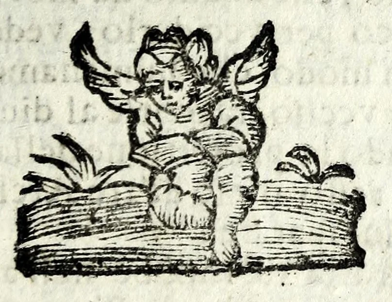 An illustration from Historia della Madonna santissima d'Oroppa : ne' monti della citta di Biella nel Piemonte : diuisa in libri trè .., 1659, leaf 127