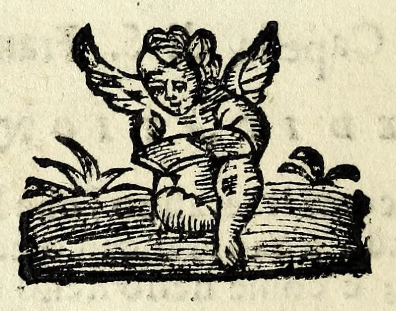 An illustration from Historia della Madonna santissima d'Oroppa : ne' monti della citta di Biella nel Piemonte : diuisa in libri trè .., 1659, leaf 262