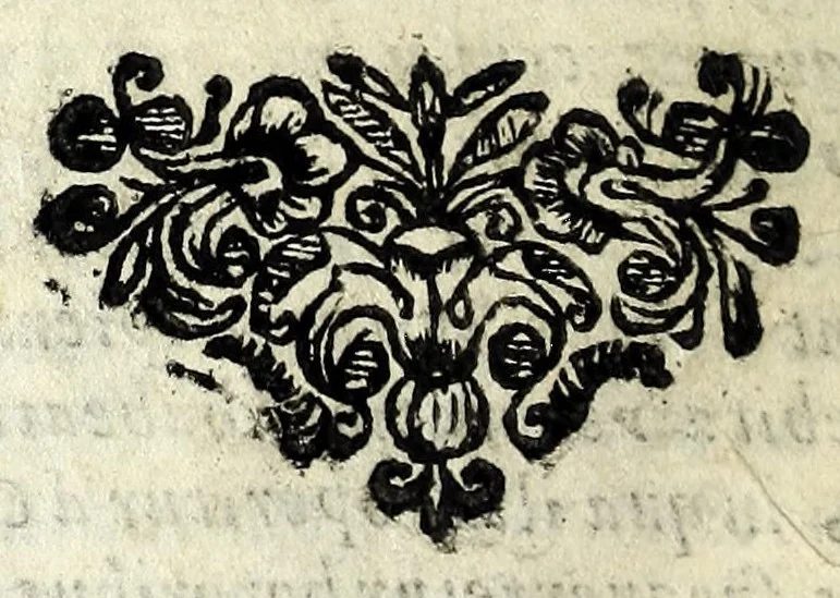 An illustration from Historia della Madonna santissima d'Oroppa : ne' monti della citta di Biella nel Piemonte : diuisa in libri trè .., 1659, leaf 36