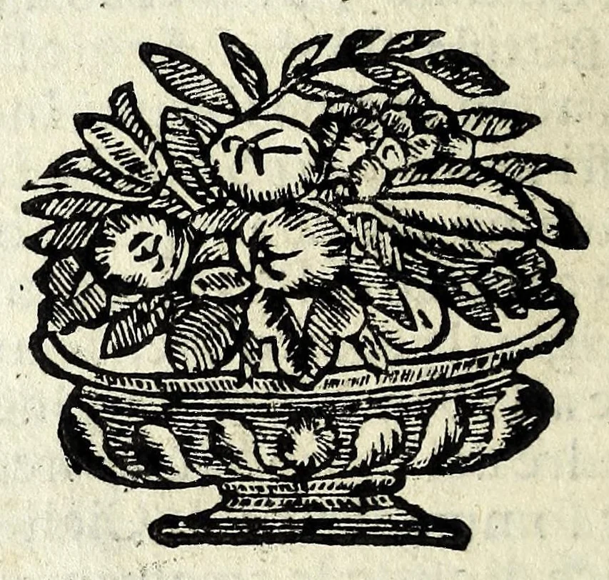 An illustration from Historia della Madonna santissima d'Oroppa : ne' monti della citta di Biella nel Piemonte : diuisa in libri trè .., 1659, leaf 94