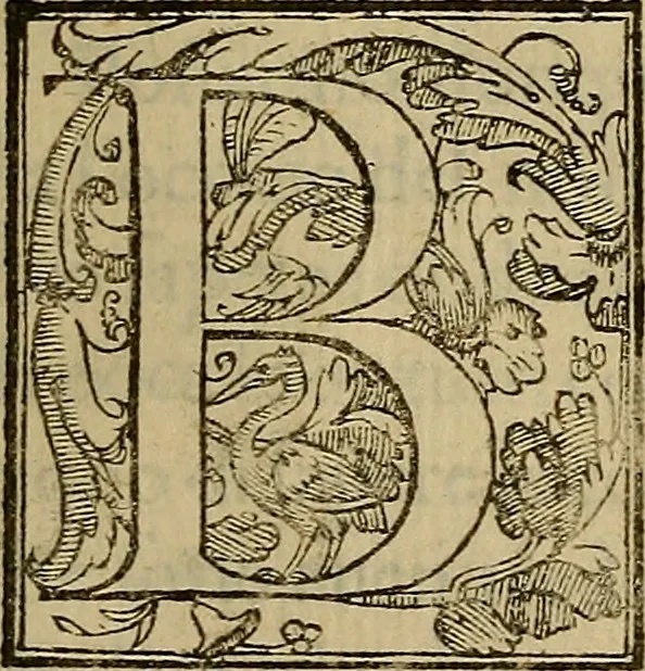 An illustration from Historia dell'antichità di Milano, divisa in qvattro libri, 1592, leaf 10