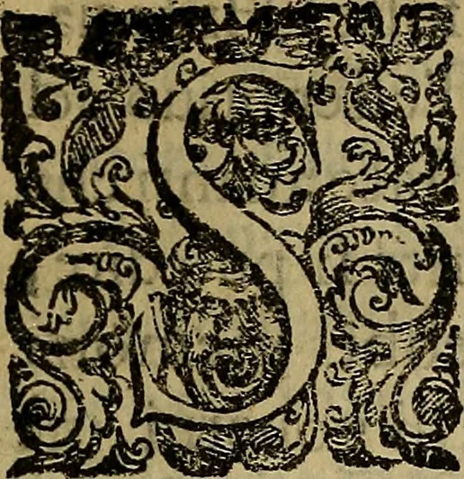 An illustration from Historia dell'antichità di Milano, divisa in qvattro libri, 1592, leaf 12