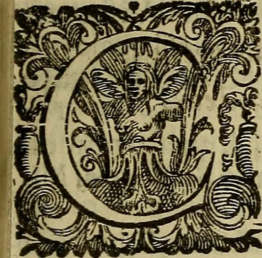 An illustration from Historia dell'antichità di Milano, divisa in qvattro libri, 1592, leaf 68