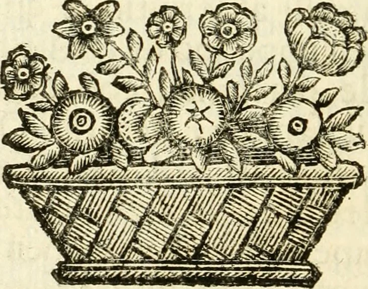 An illustration from Historia della republica Veneta, 1663, leaf 355