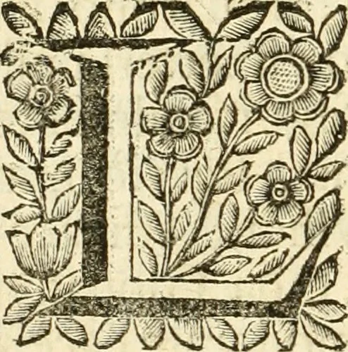 An illustration from Historia della republica Veneta, 1663, leaf 525