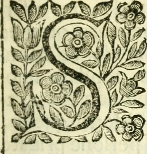 An illustration from Historia della republica Veneta, 1663, leaf 664